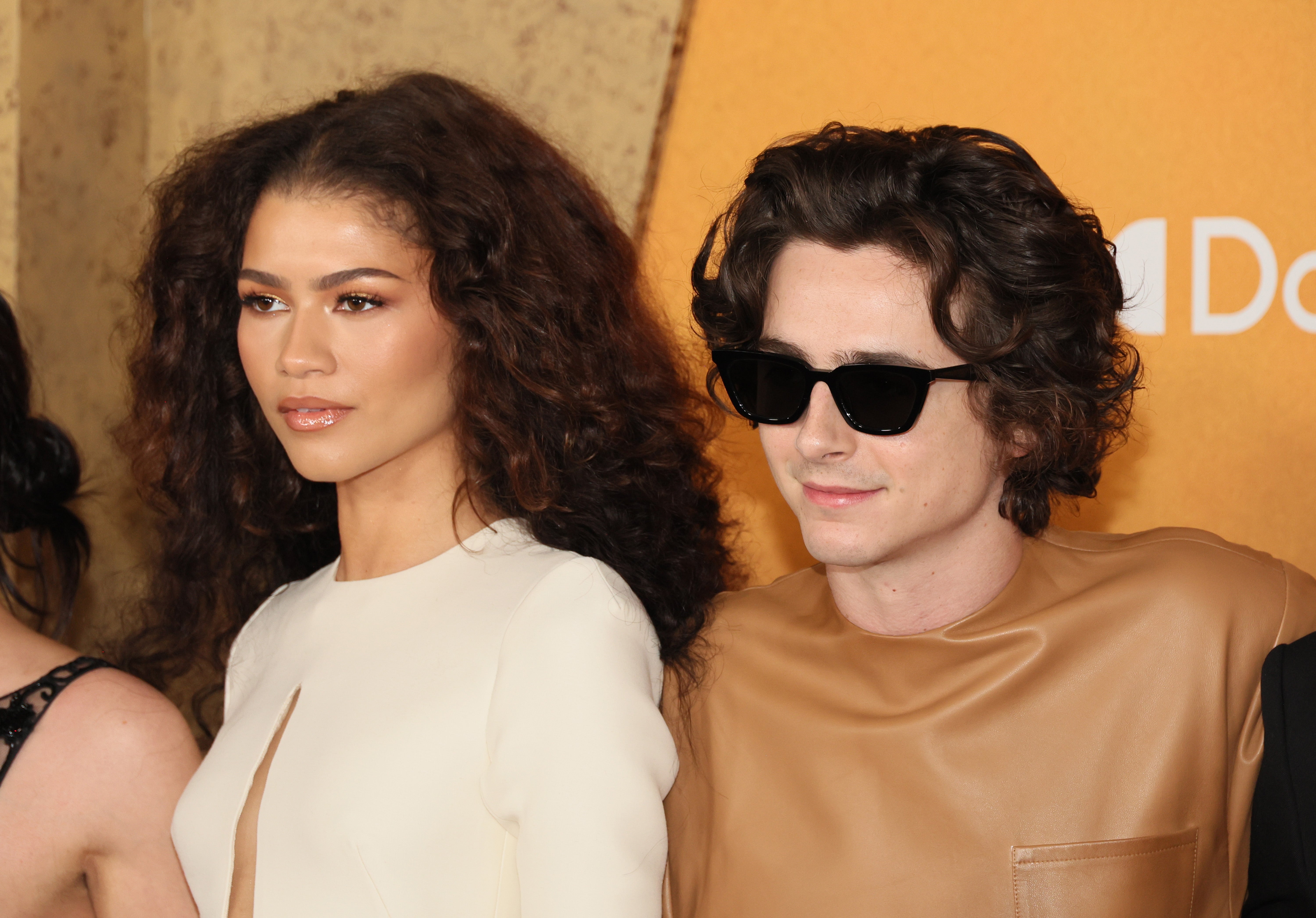 Two individuals stand together, the one on the left in elegant attire with long, curly hair, and the one on the right wearing sunglasses and a sleek outfit