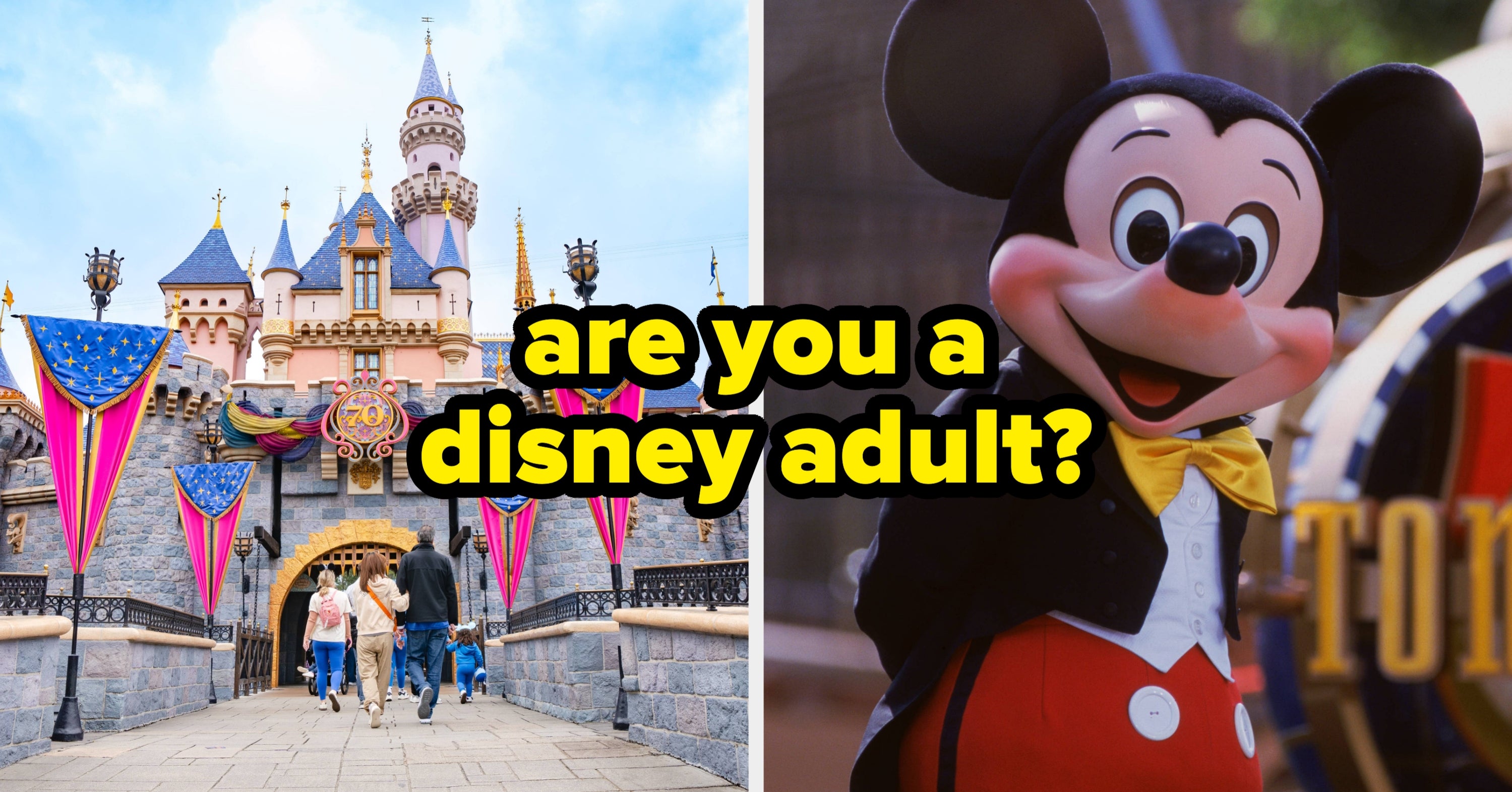 Only Real Disney Adults Have Done At Least 30/50 Of The Things On This Quiz