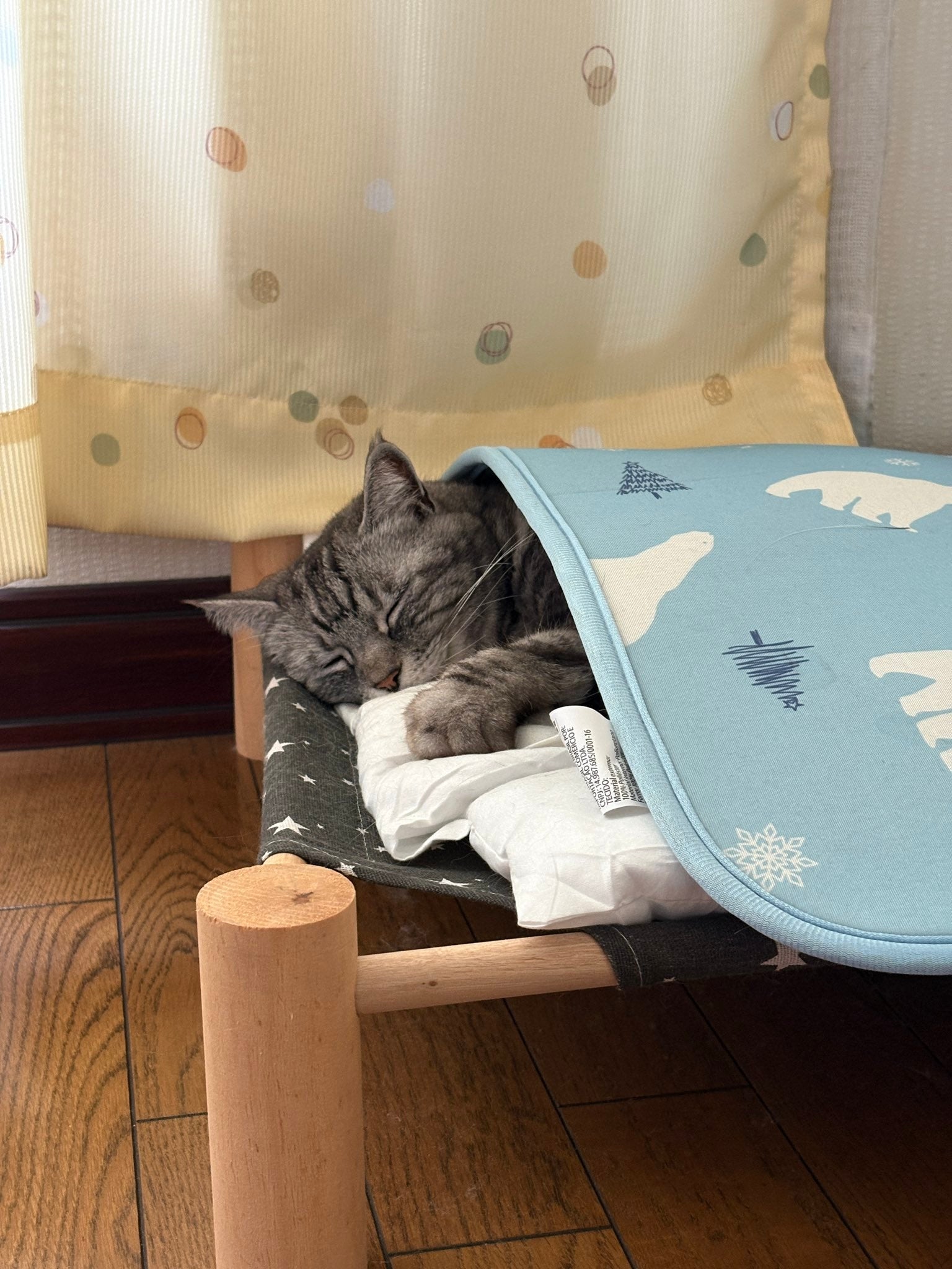 猫用ベッドに冷感マットを敷いたら…？ “想定外の使い方”に「そうじゃにゃい」「かわいすぎて言葉が消滅する」