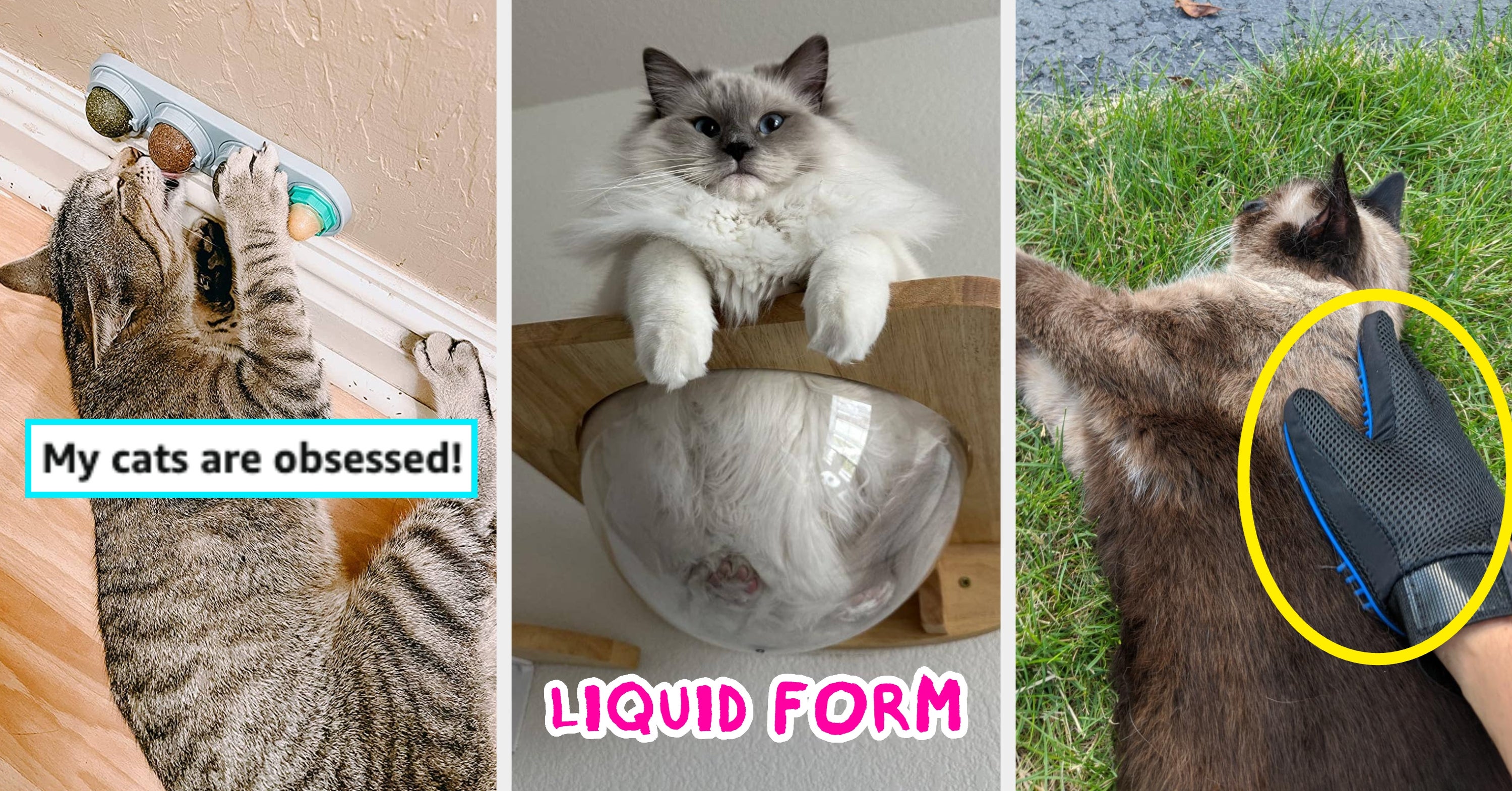 If Your Life Revolves Around Your Cat, Here Are 35 Things That'll Make Them Happy