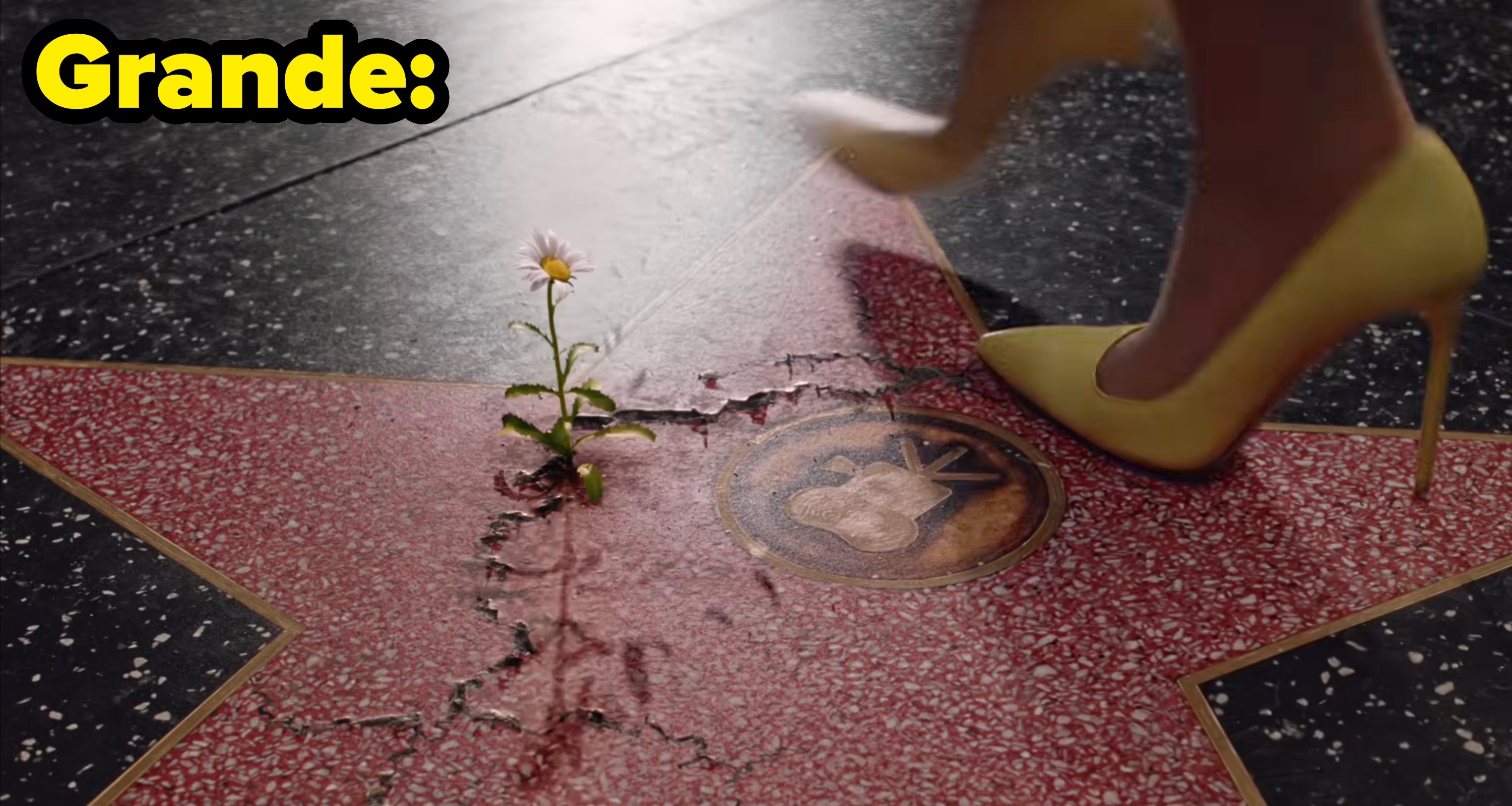 Grande's video, with heels walking over a Hollywood star with a flower growing out of it