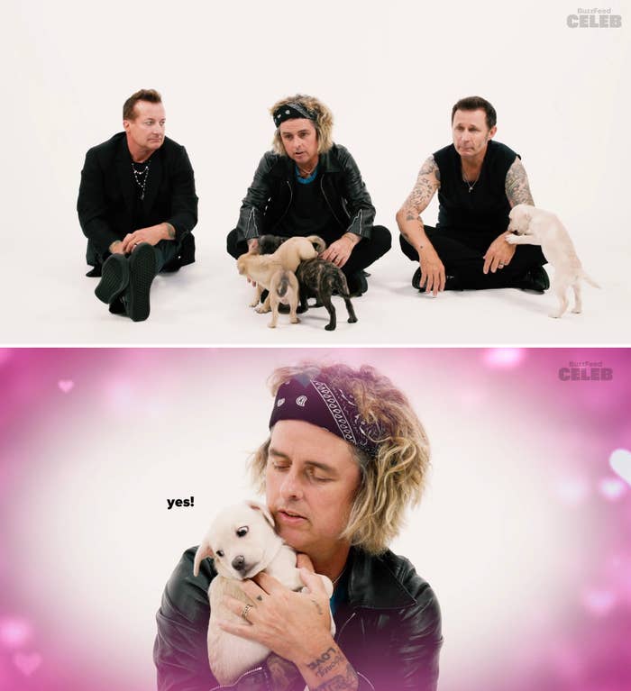 Three men sit with puppies; one man in rocker style clothes cuddles a puppy in another image, captioned "yes!"