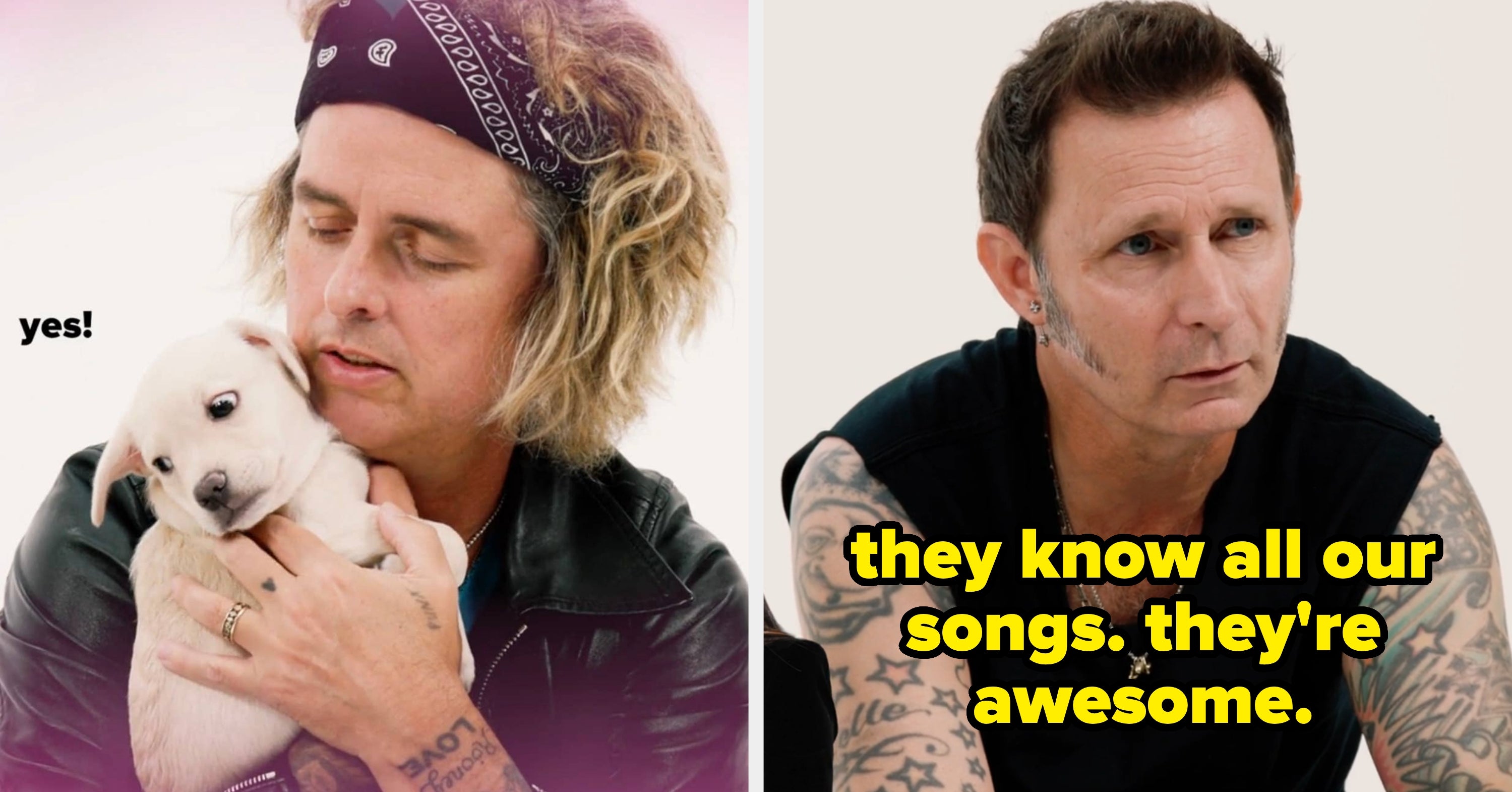 Green Day Talked 