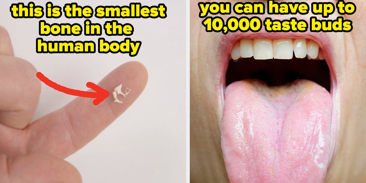 31 Weird Body Facts That Sound Fake But Are True