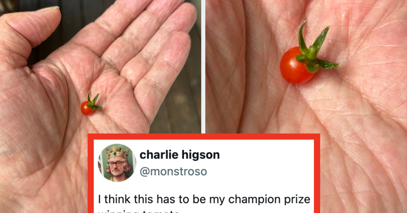 The World Is Awful, So Enjoy This Oasis I Created Of The 22 Most Wholesome Tweets I Found On The Internet This Week