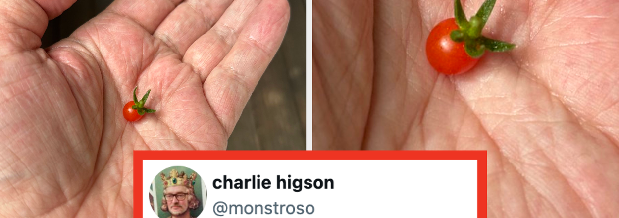 Everything Seems Awful Right Now, So Here Are 22 Posts On The Internet This Week That Might Actually Restore Your Faith In Humanity