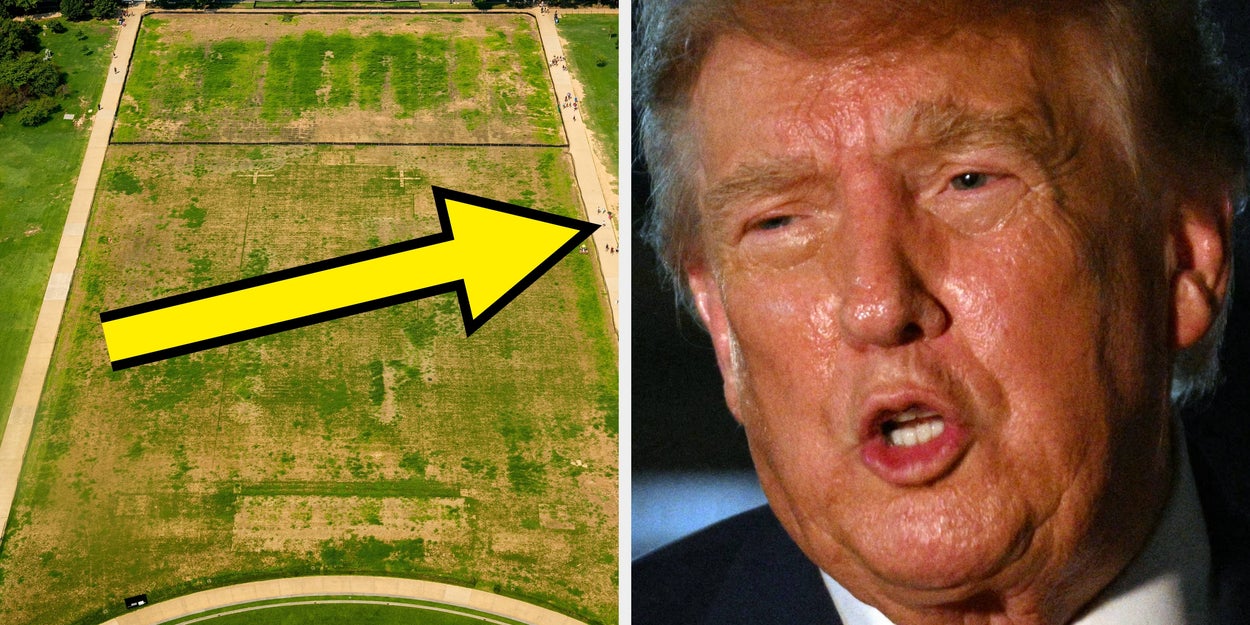 Trump Blames Vandals For Damaged Grass