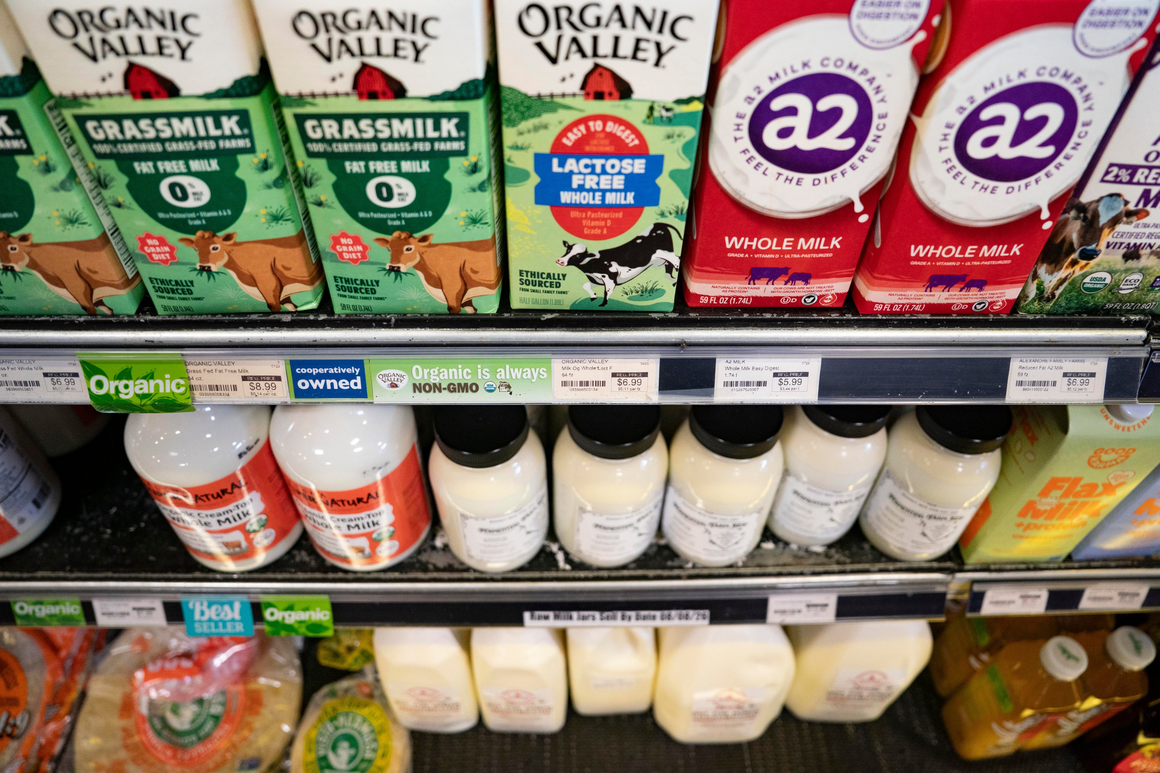 Ulike melkemerker, inkludert økologiske alternativer, vises på en supermarkedshylle