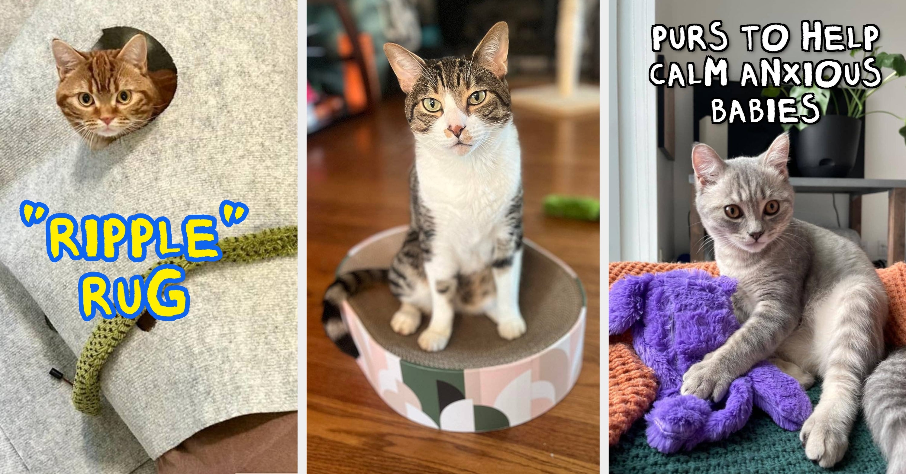 Your Cat Specifically Requested These 30 Fun Products And I'm Just The Messenger