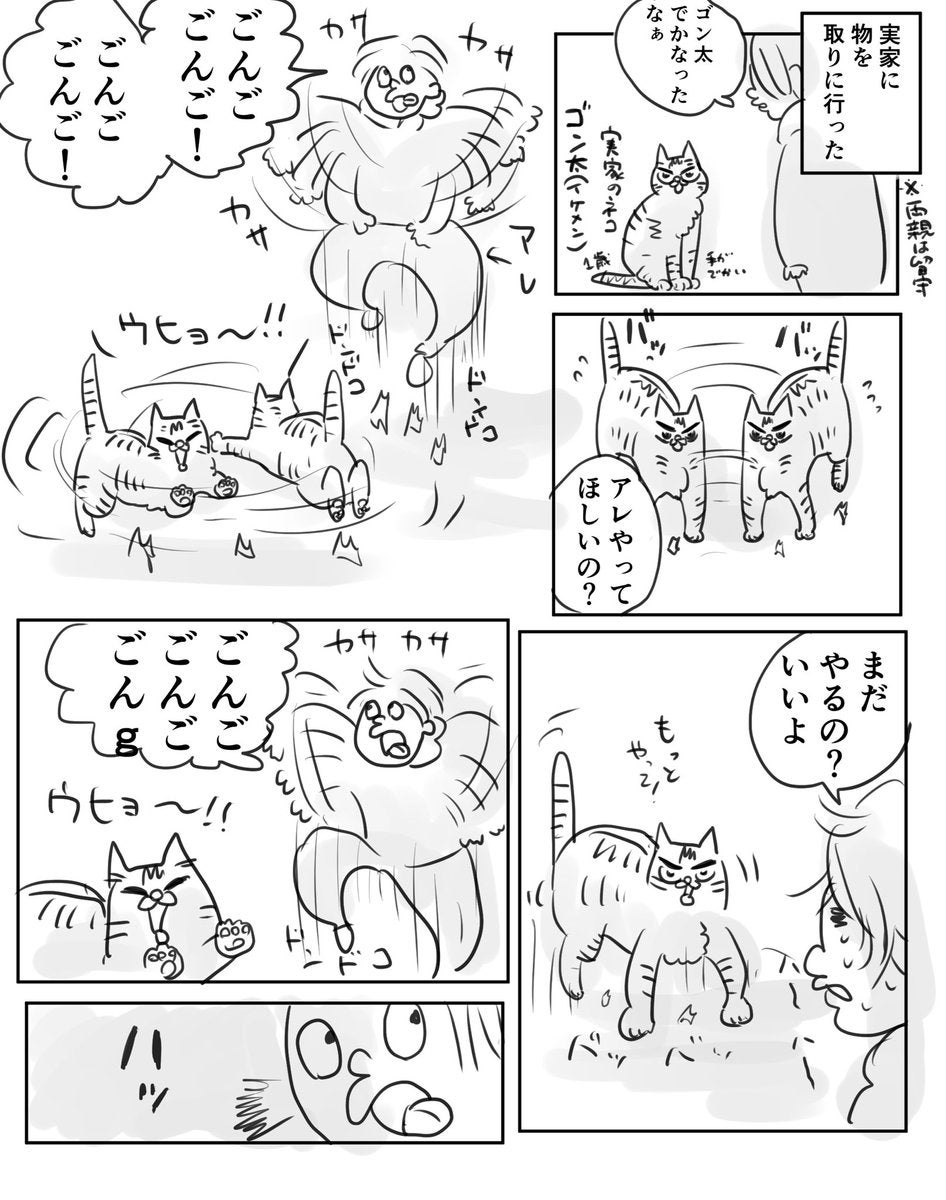 ジッカノネコニッキ漫画（DODONPAさんのXより）