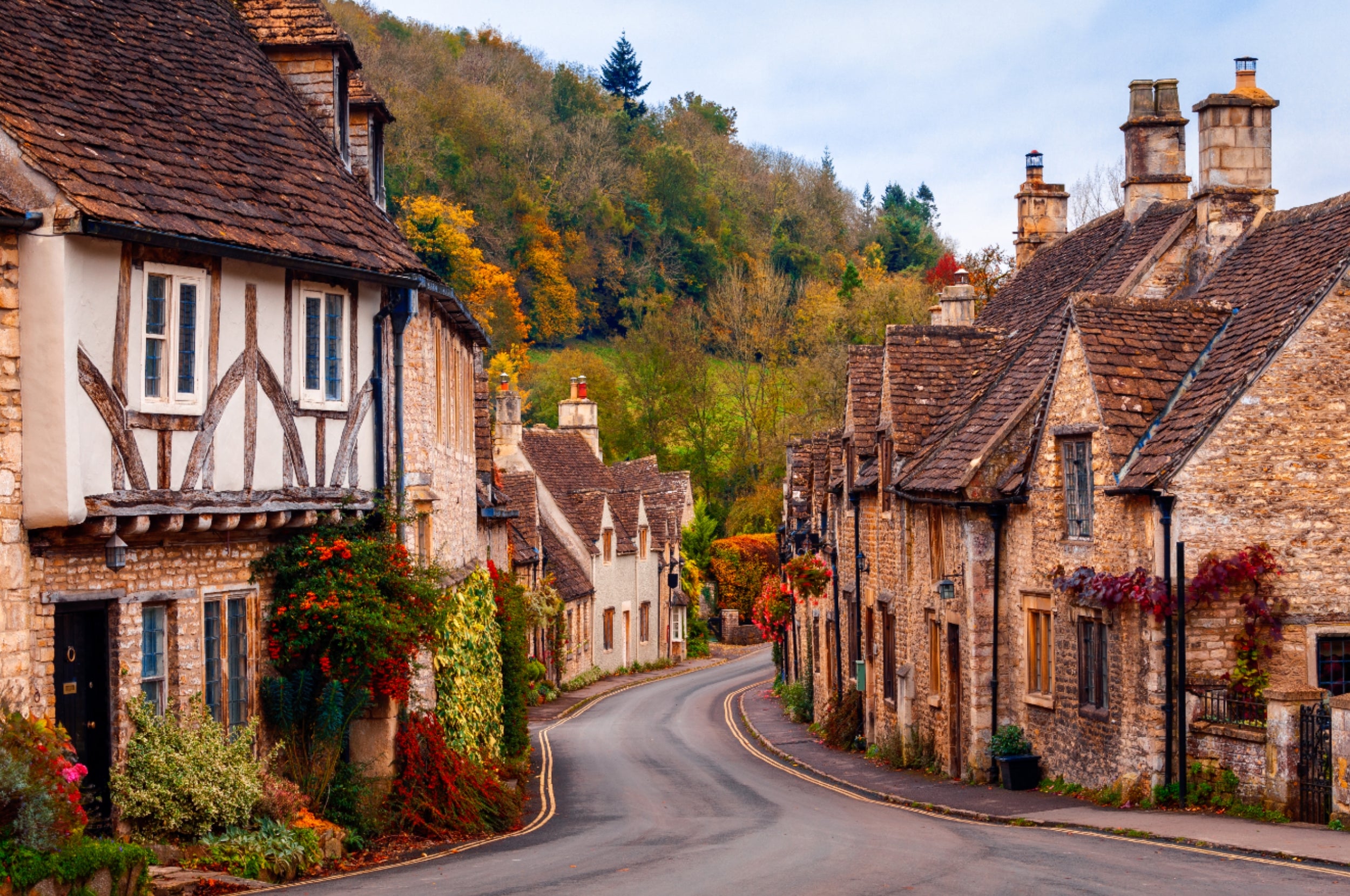 Quaint village street with cobblestone houses, lush greenery, and a winding road leading into the distance