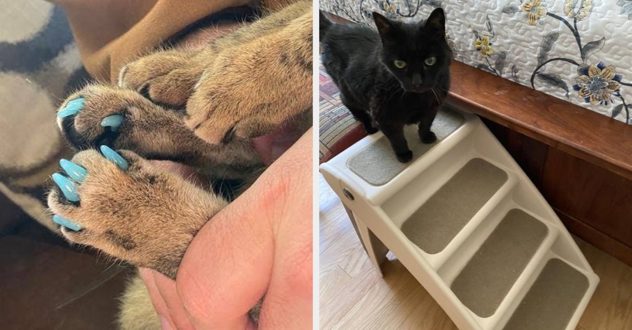 Reviewers Are Singing The Praises Of These 26 Pet Products From Chewy