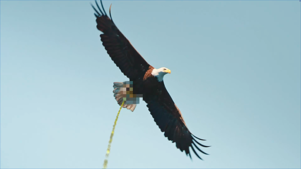 Eagle soaring in the sky with pixelated area on tail, humorously edited image featured in Internet Finds article