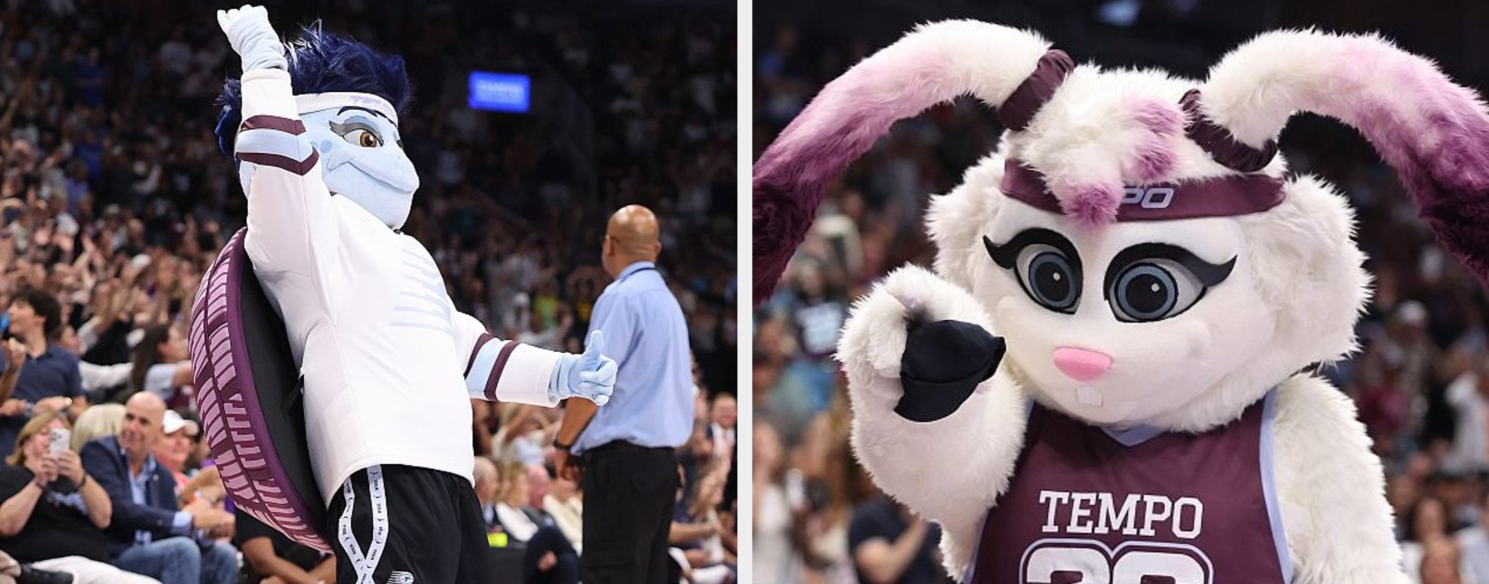 Basketballlagets maskot i trøye samhandler lekent med en medarbeider på sidelinjen