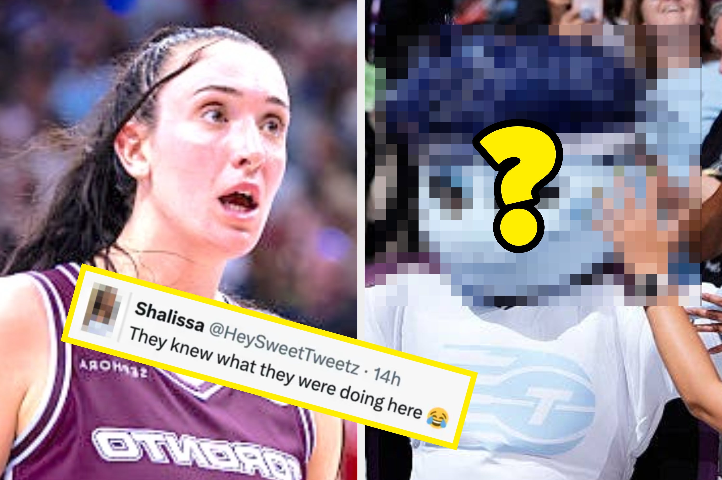 buzzfeed.com - Jennifer McPhee - Toronto's Newest Sports Team Revealed Its (Very Surprising) Team Mascot, And It's Going Viral