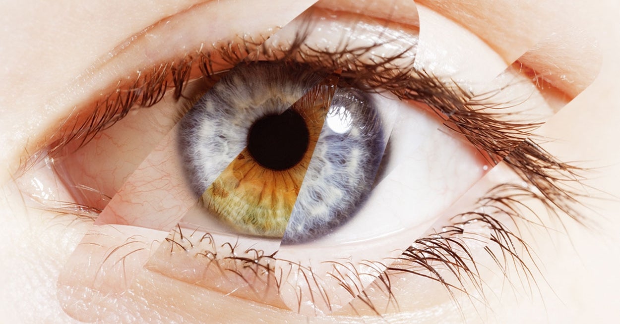 With Just 10 Questions, I Can Guess Your Eye Color With Unbelievable Accuracy