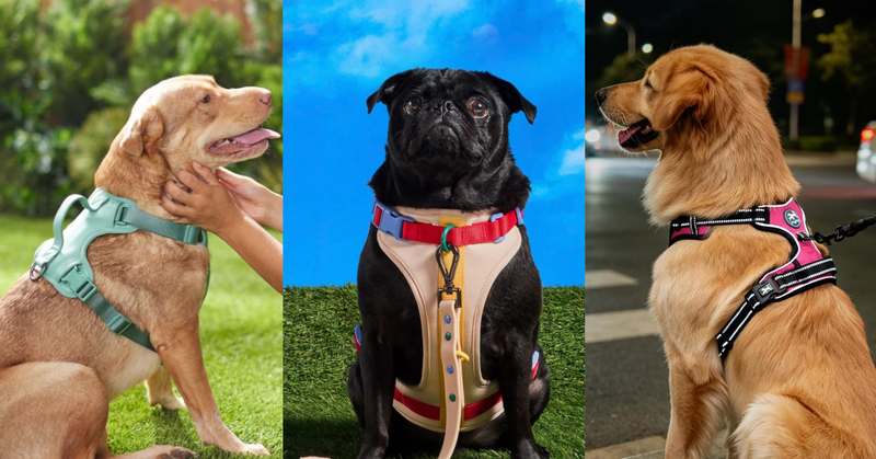9 Gentle And Comfortable Dog Harnesses That Are As Cute As They Are Sturdy