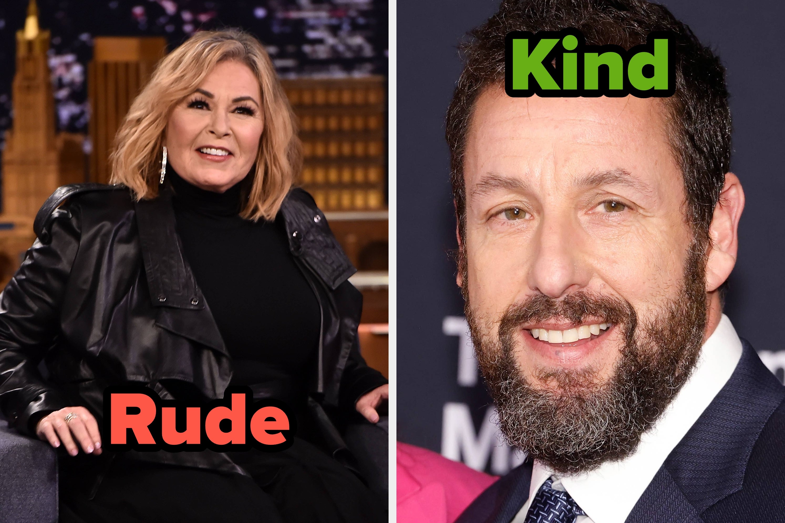 "rude" over roseanne barr and "kind" over adam sandler"