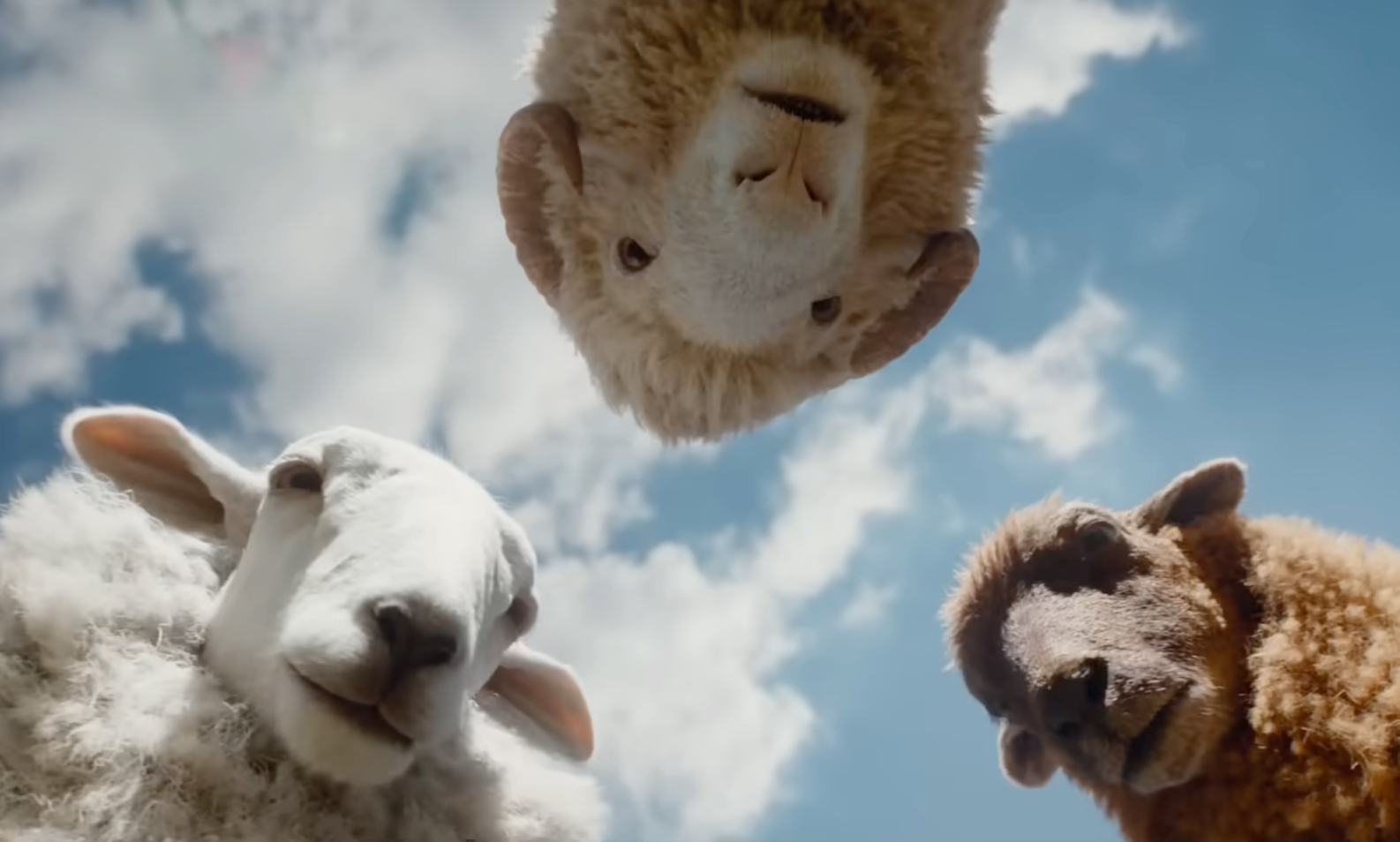 Three sheep with woolly coats curiously peer down at the camera against a backdrop of a blue sky with clouds