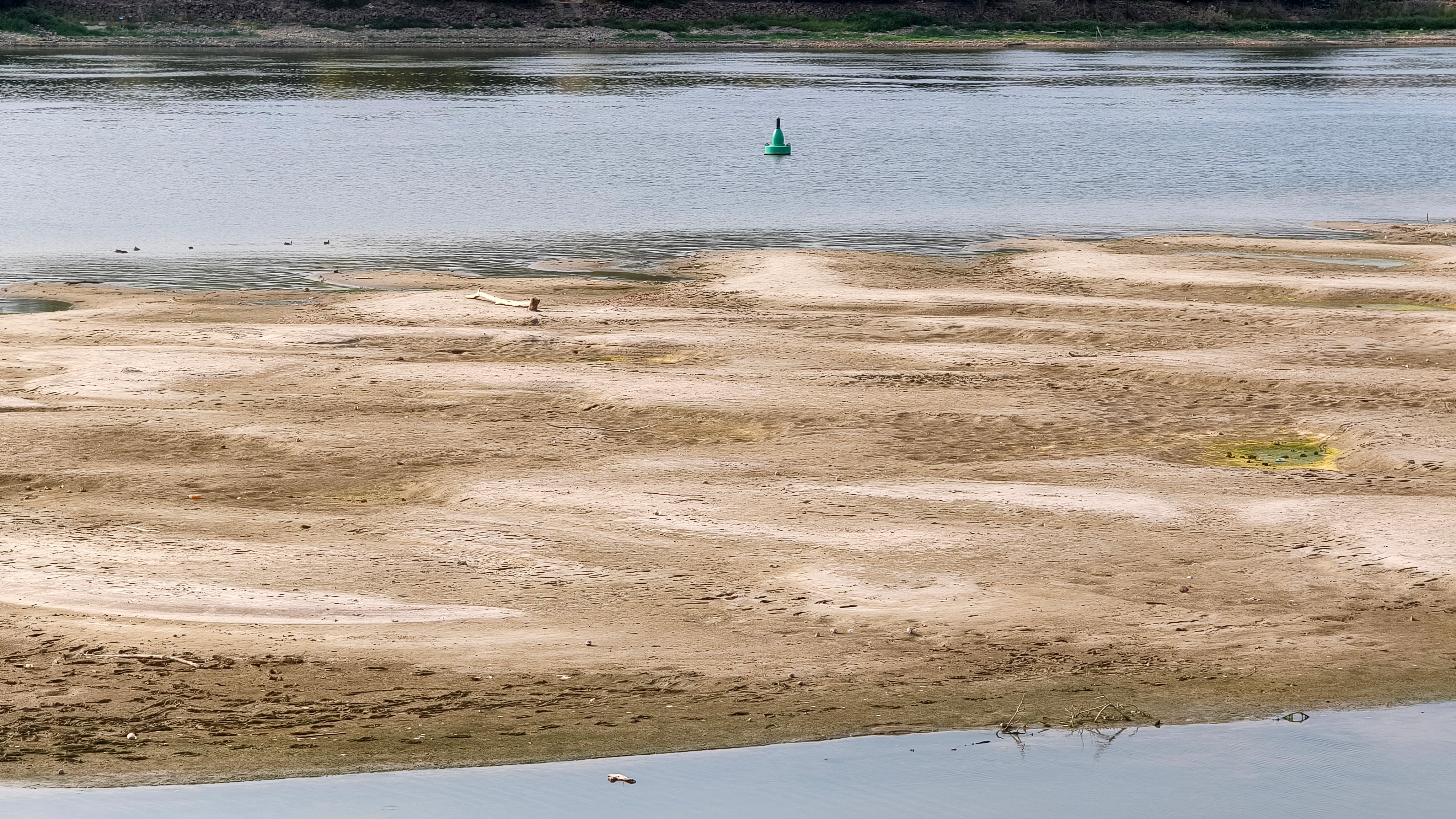 Donau ved ekstremt lav vannstand