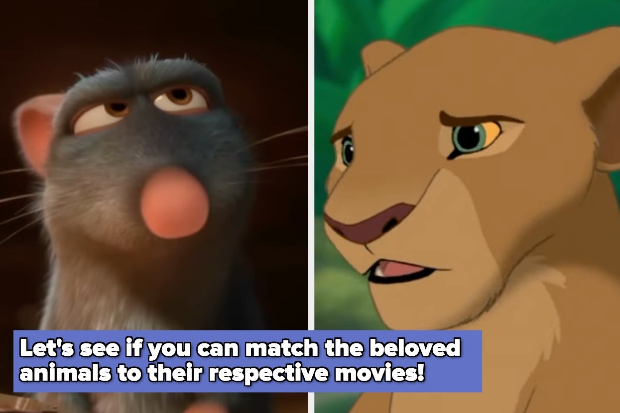 Split image showing an animated rat and a lioness, with a text prompt about matching animals to movies