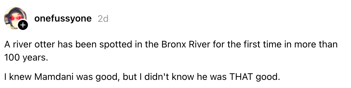 Et innlegg sier: En elveoter ble sett i Bronx-elven for første gang på over 100 år. Det komplimenterer Mamdani humoristisk