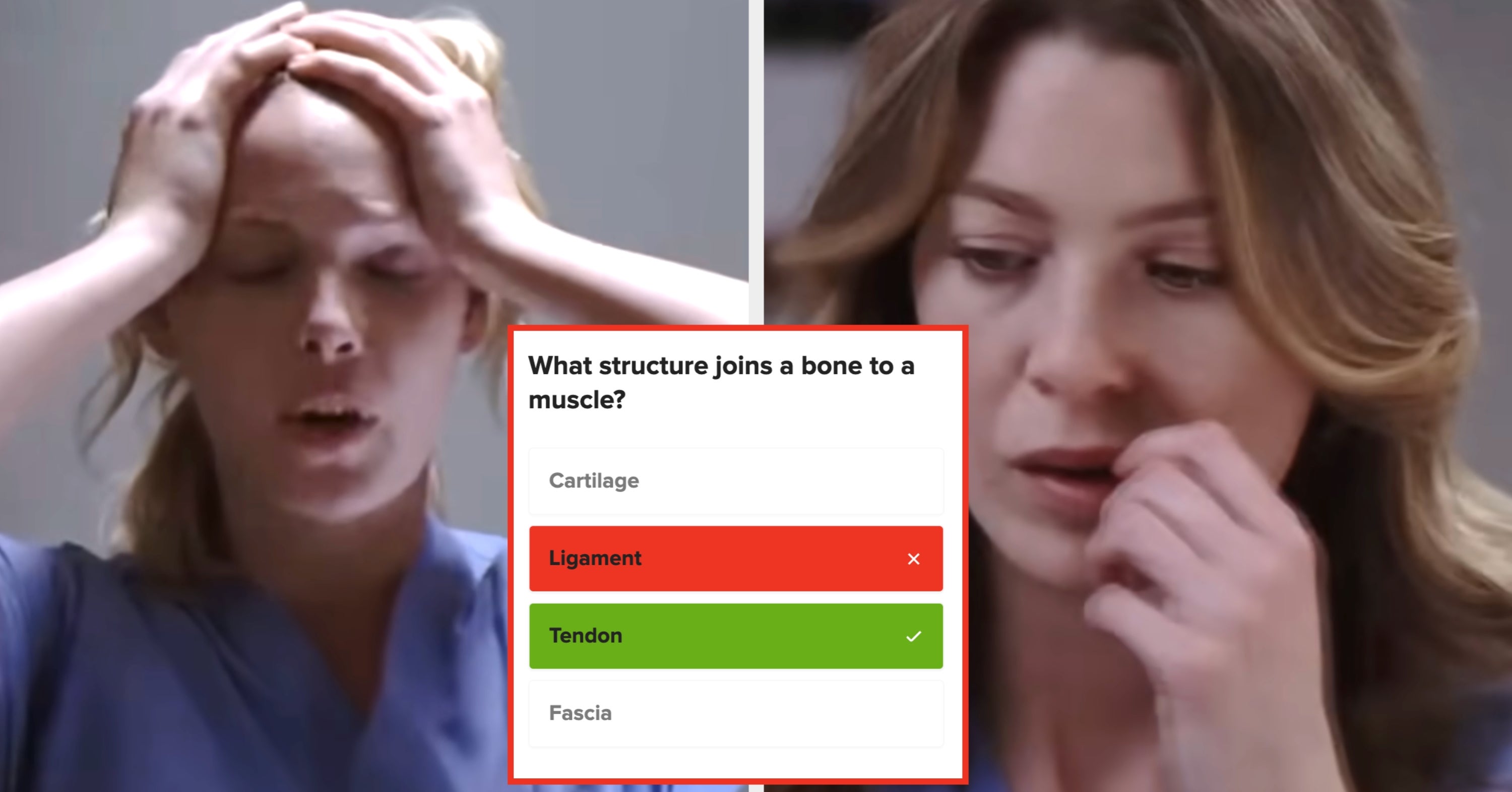 Most People Can't Even Name 12 Basic Body Parts, So If You Can Pass This Anatomy Quiz, You're Basically A Genius - BuzzFeed