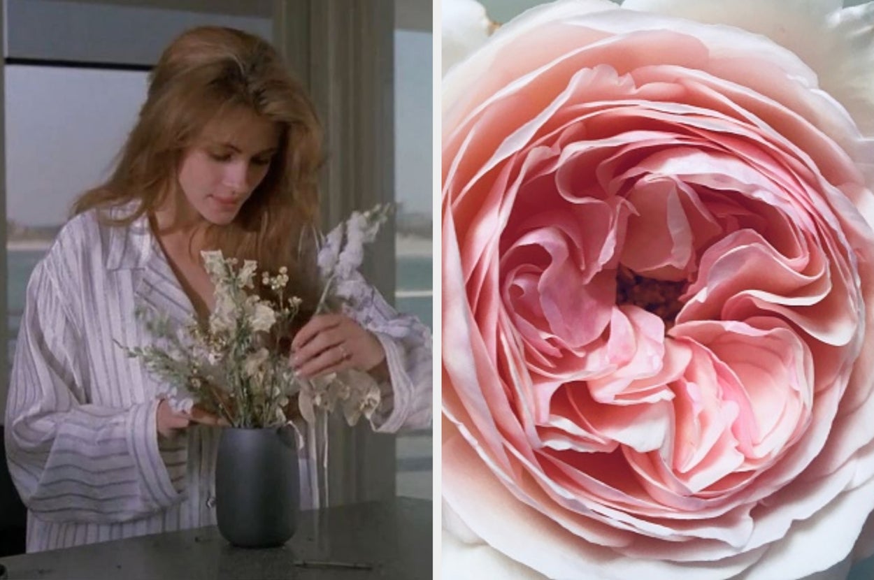 Choose Some Of Your Favorite Scents And We'll Guess Your Zodiac Sign