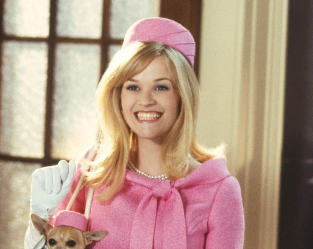 Person in retro-style outfit with matching hat and a small dog in purse, smiling indoors
