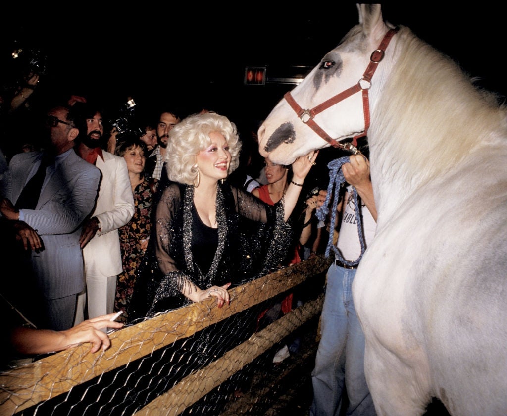 A person with curly hair in a sparkly outfit greets a white horse at an event, surrounded by onlookers