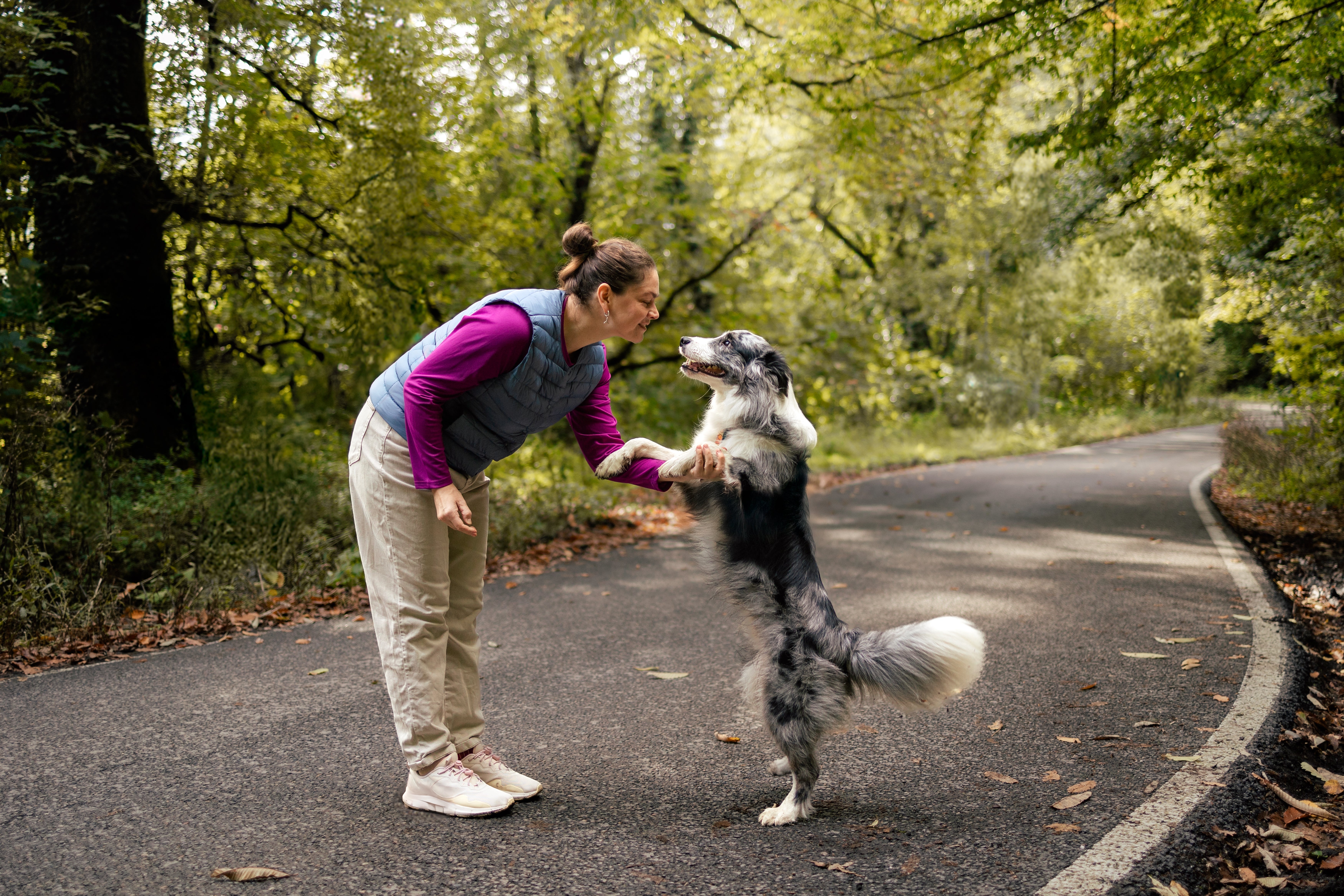 Person joyfully playing with a large dog on a forested road, fostering active lifestyle and companionship benefits
