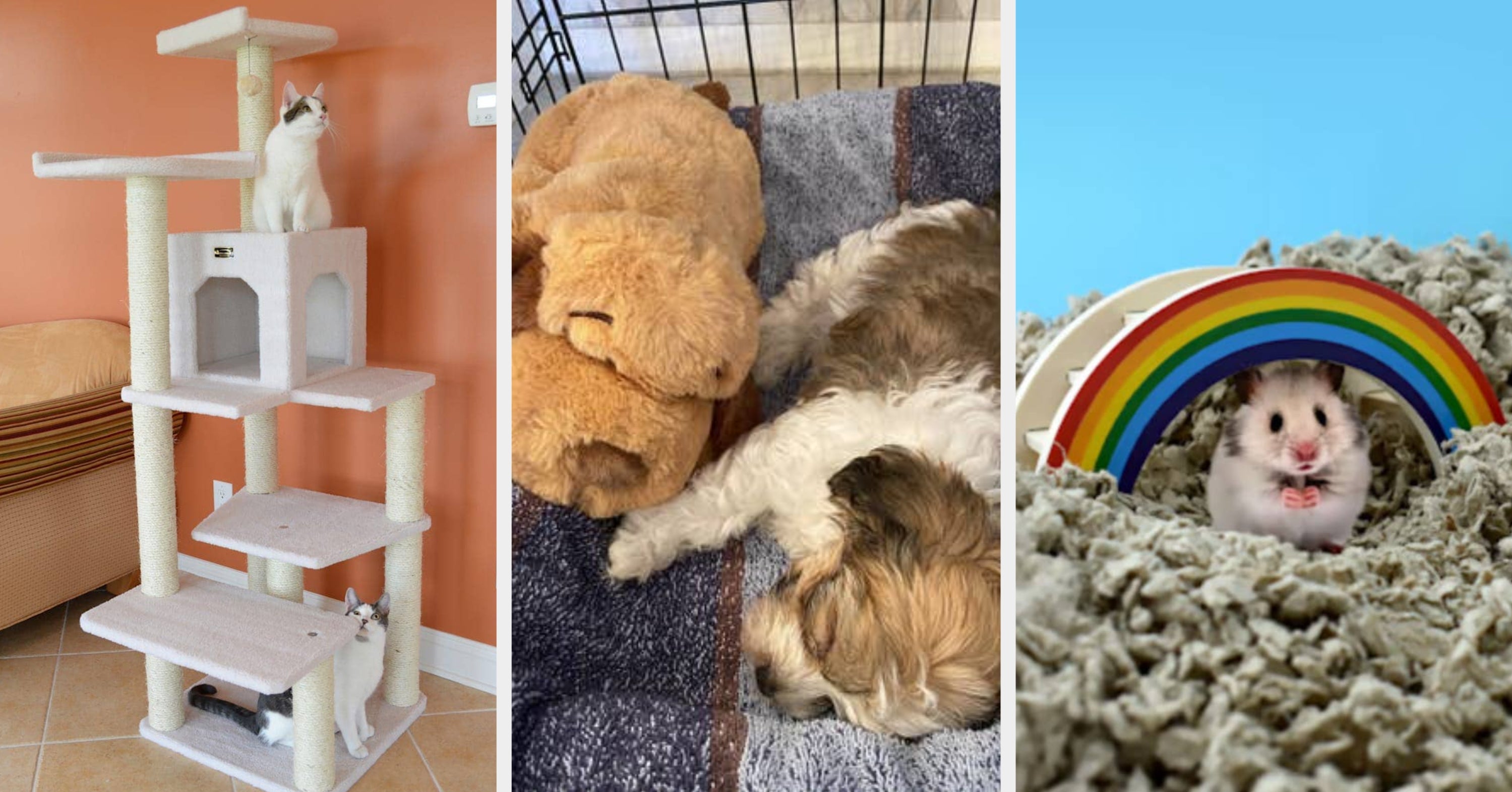 27 Things From Petco With *Such* Impressive Reviews You'll Want To Buy Them *NOW*