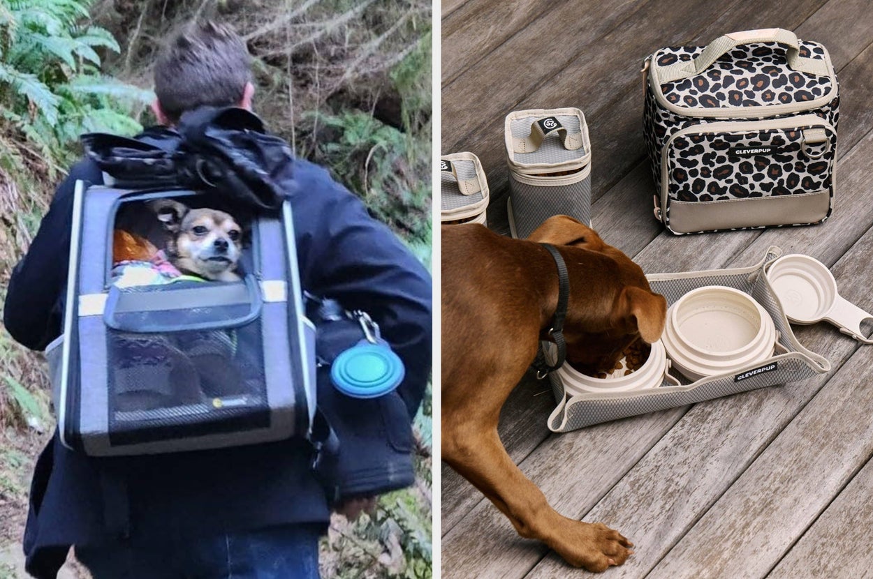 26 Things Sure To Come In Clutch If You’re Traveling With Pets