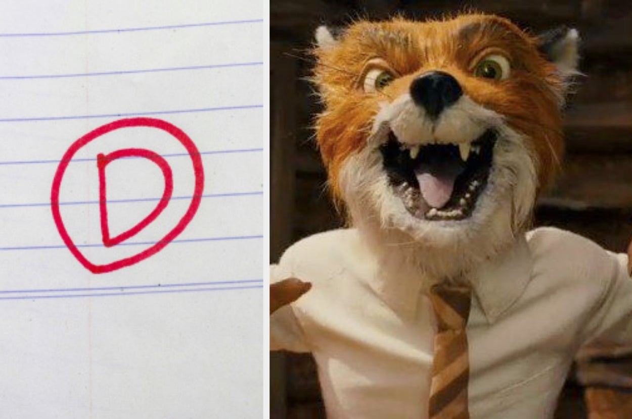 A lined paper displays a red "D" grade. Next to it, an animated fox in a tie looks surprised or excited