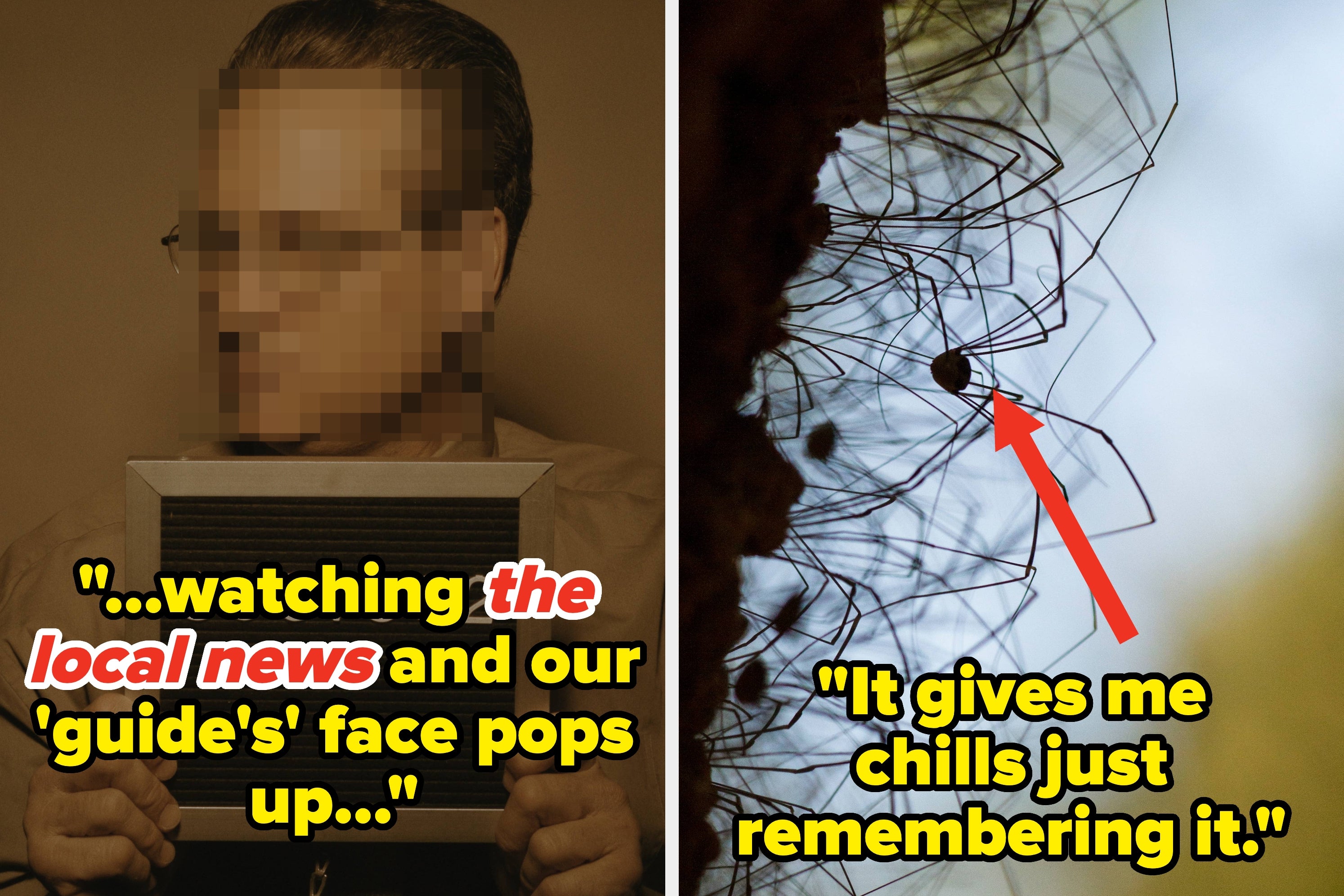 Left: Person holding a sign with numbers, face blurred. Right: Close-up of spiders with an arrow and text "No. Just no."