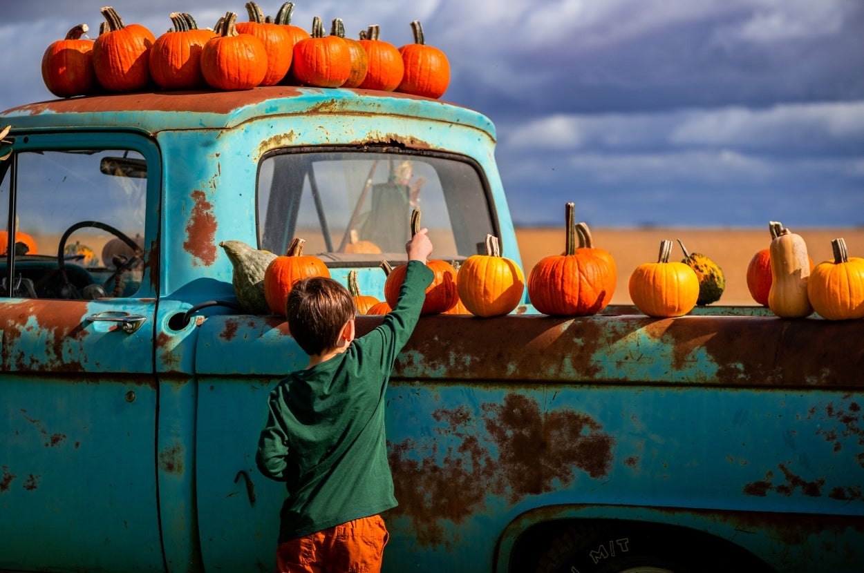 Which Autumn Festival Actually Matches Your Vibe?
