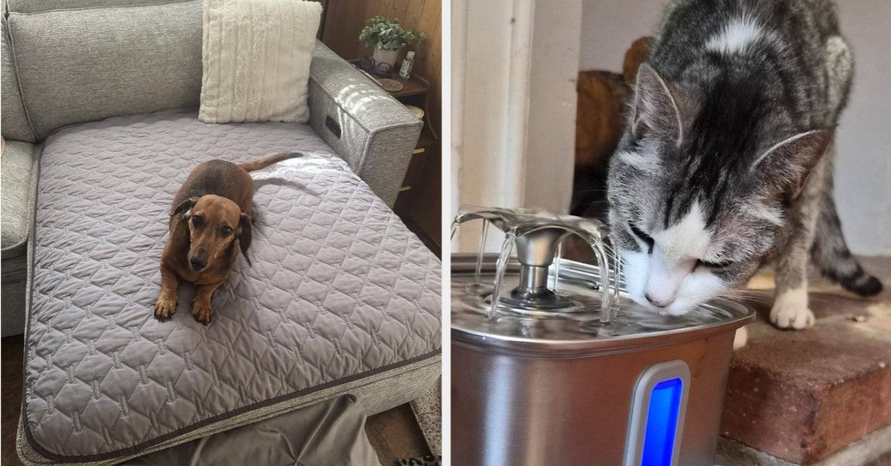 I Know You Love Your Pet, But If They’re Getting On Your Nerves, These 29 Things May Help
