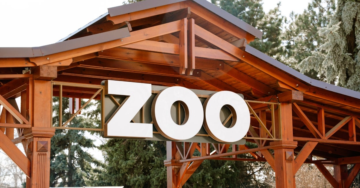 Build A Zoo And I'll Tell You What Cute Animal You Are
