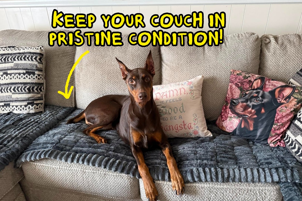 Doberman Pinscher lounging on a gray couch with decorative dog-themed pillows