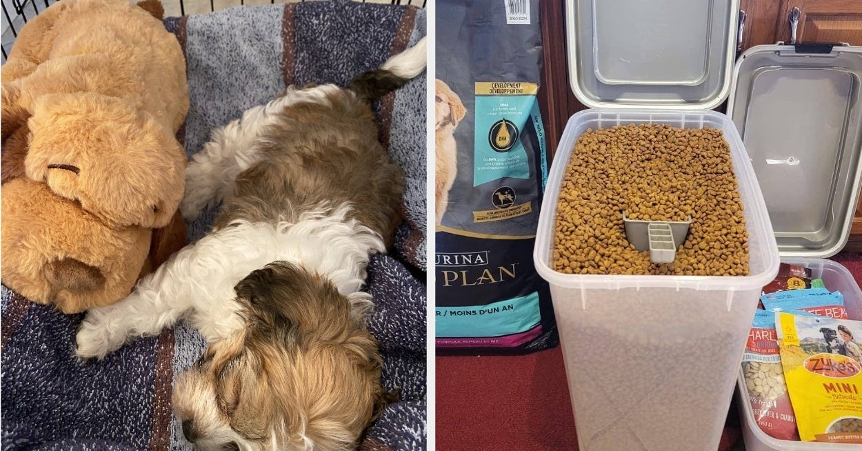 Pet Parenting: Connection or Commodification?