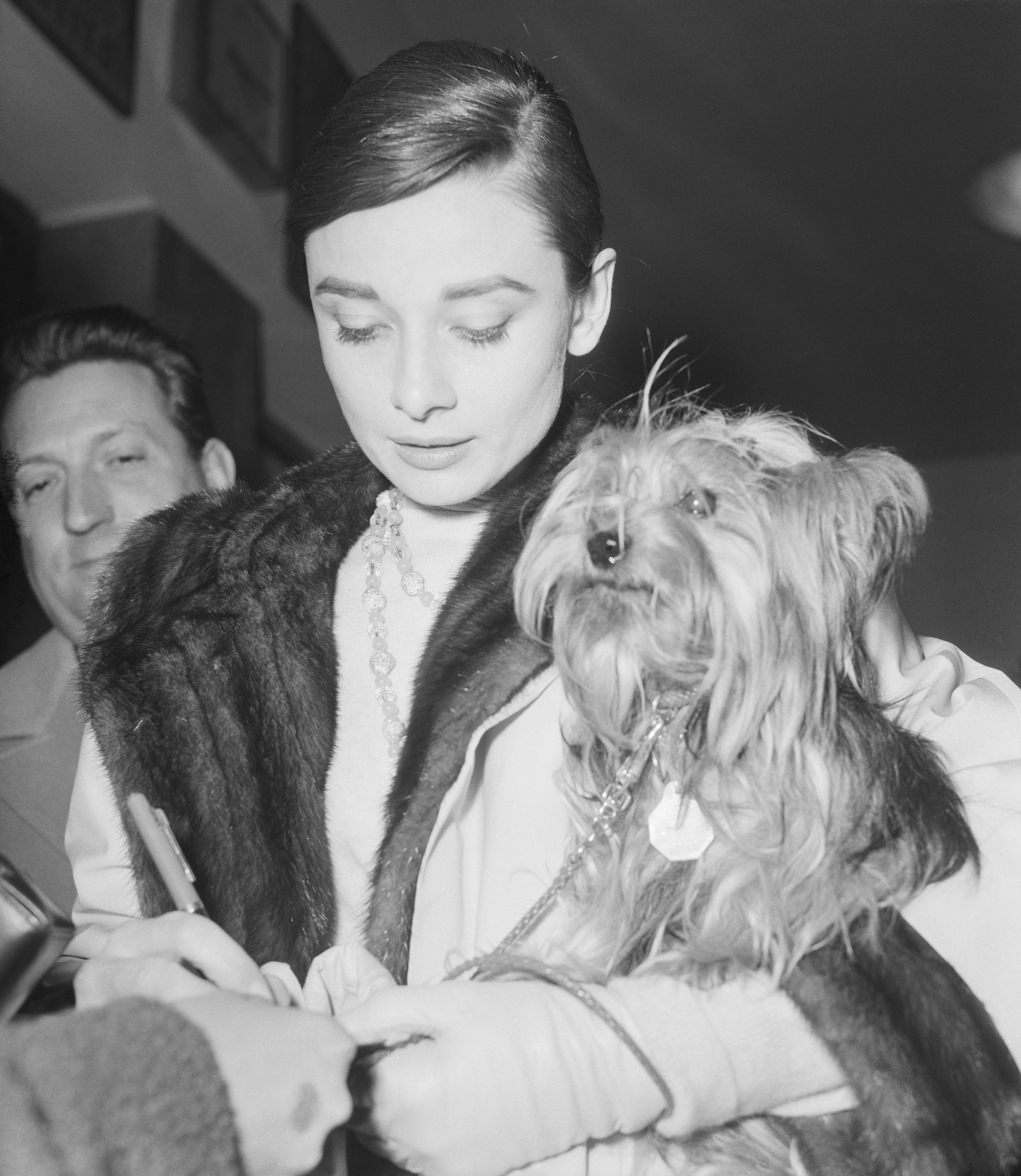 Audrey Hepburn in elegant attire holding a small dog while signing autographs