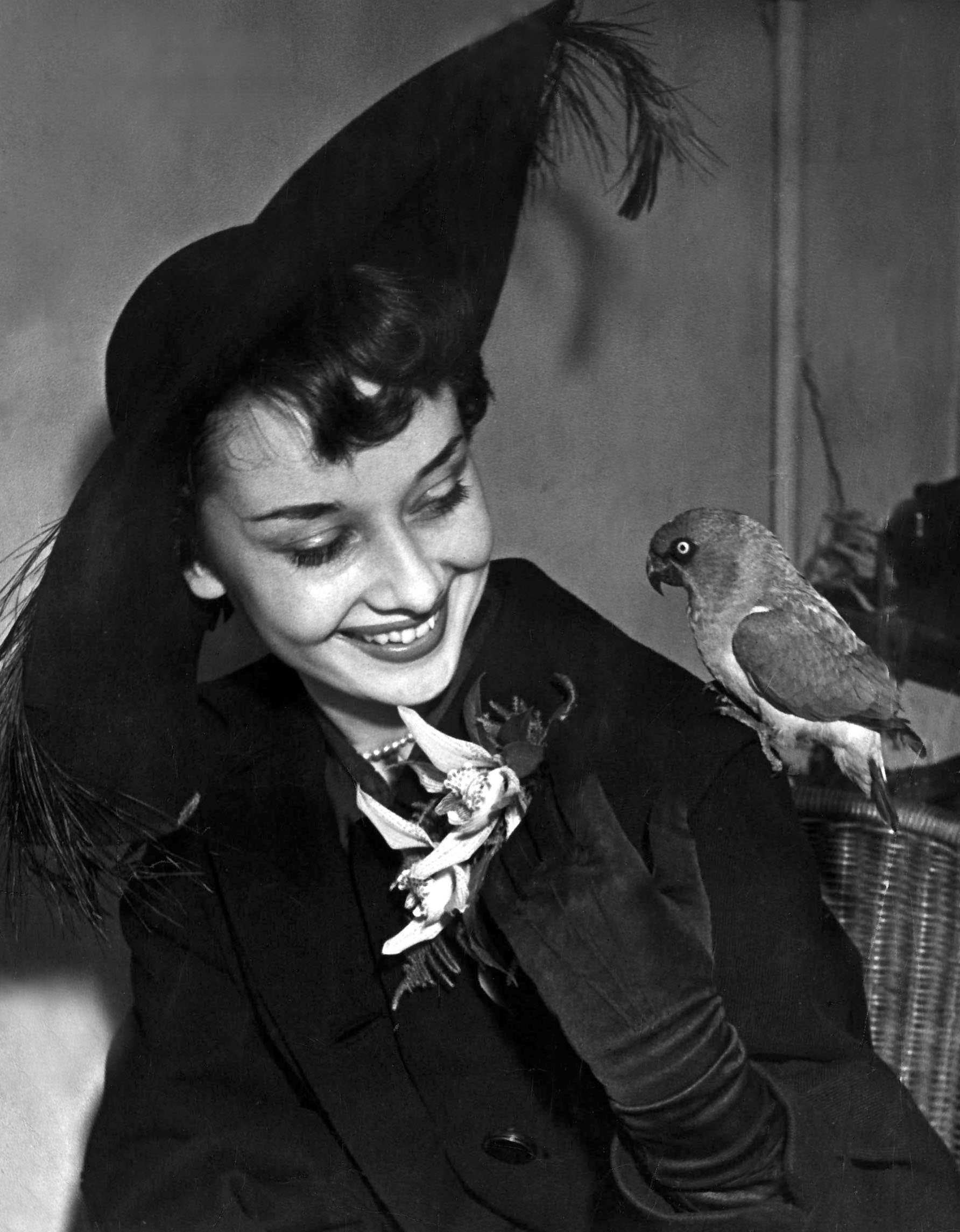 Audrey Hepburn in an elegant hat with feathers smiles at a bird perched on their gloved hand, wearing an adorned outfit