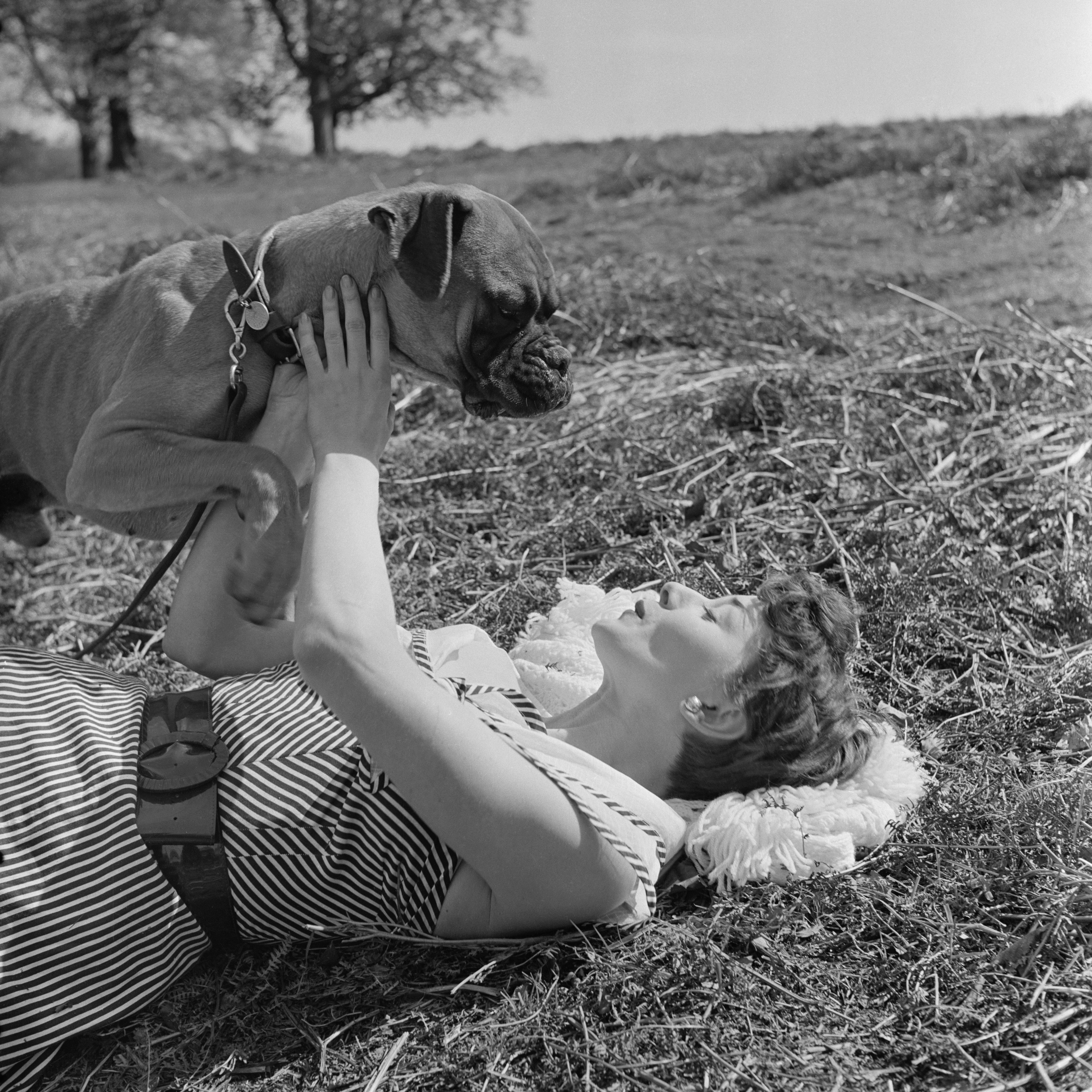 Audrey Hepburn in a striped dress lies on the grass, smiling as she plays with a dog held above her. The setting is outdoors and relaxed