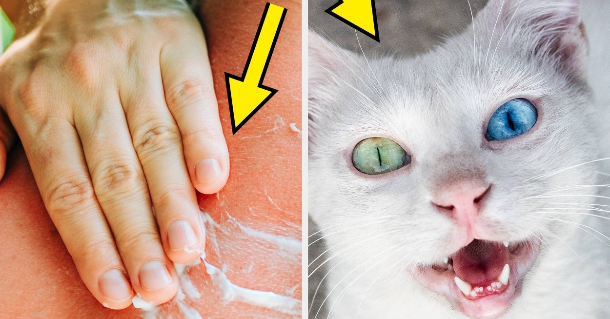 I Learned 23 Cute, Totally Random Facts That Had My Jaw Literally Glued To The Floor, So Now I'm Sharing Them With You