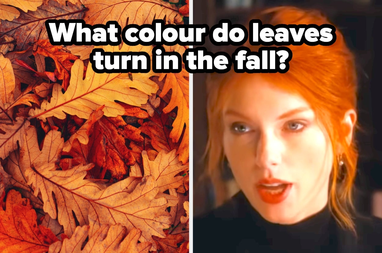 Autumn leaves on the left; person speaking on the right. Text asks about fall leaf colors