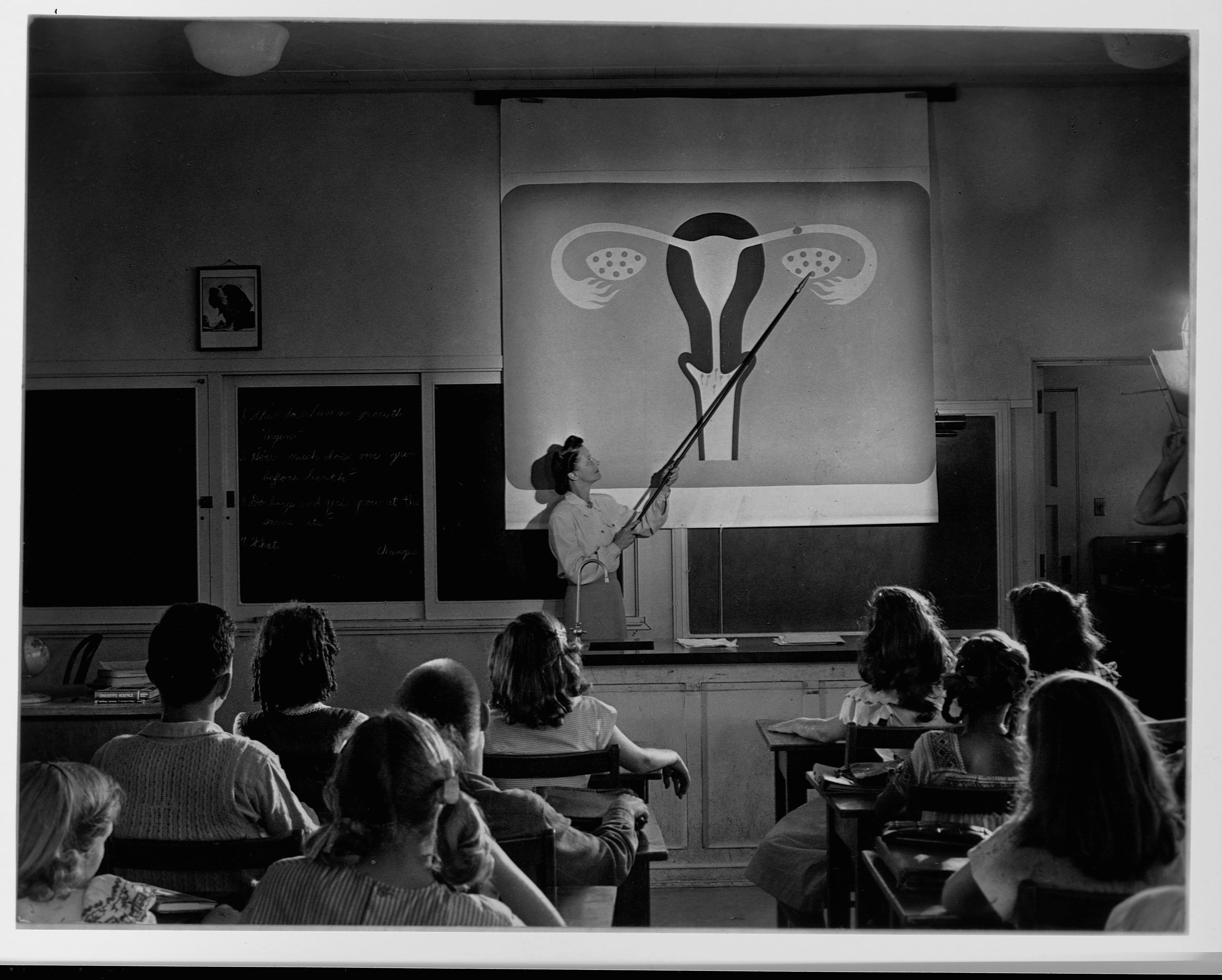 A vintage classroom scene where a teacher uses a pointer to explain a diagram of the female reproductive system to attentive students