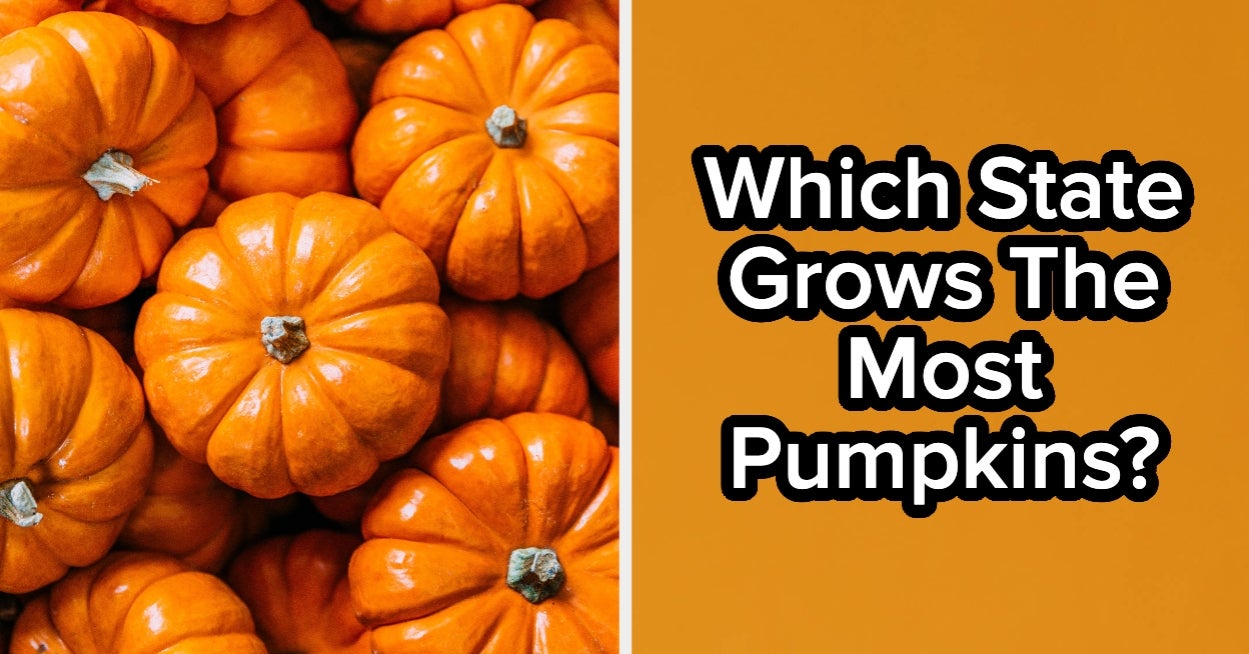 Can You Pass This Fall-Themed Trivia Quiz?
