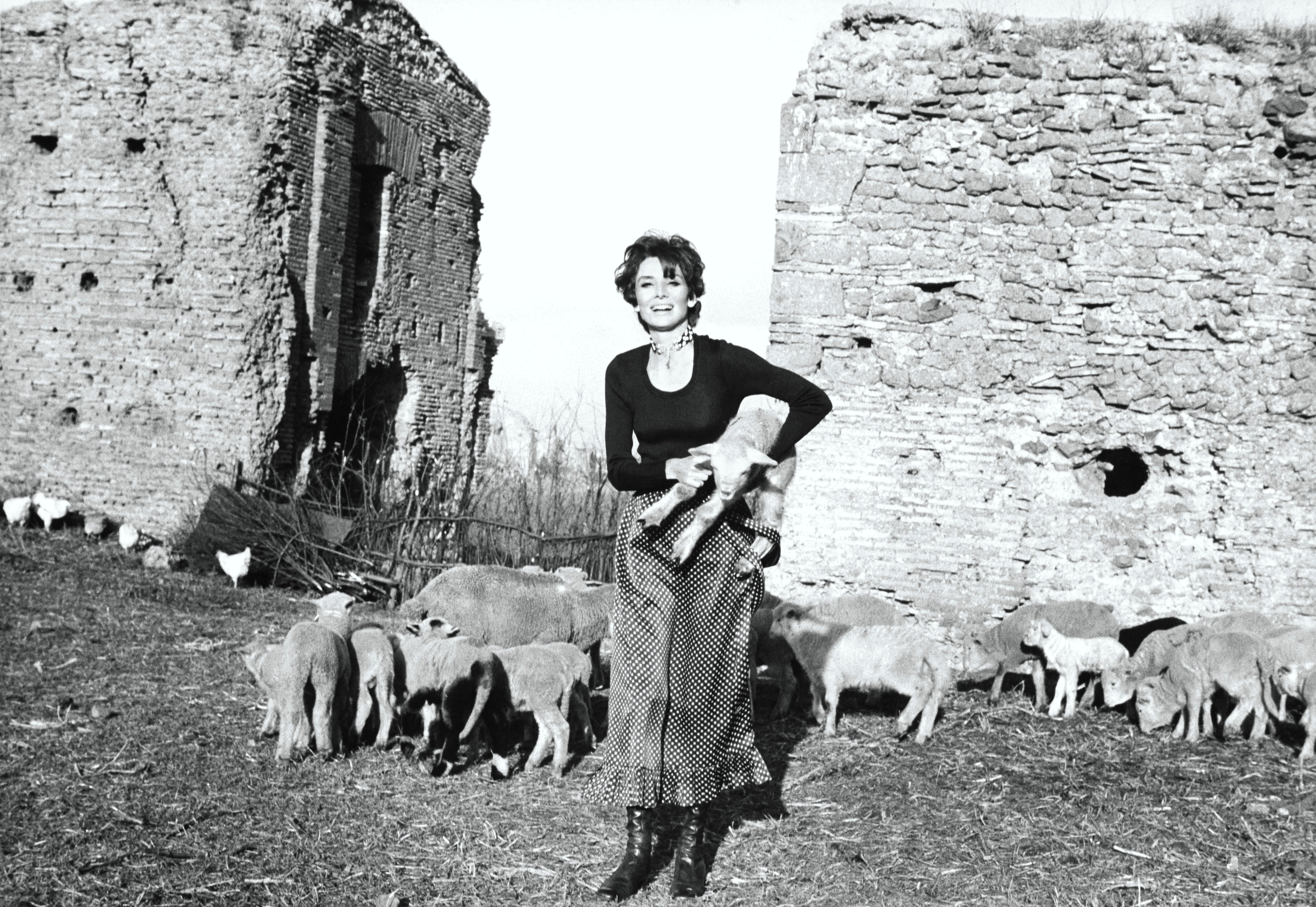 Audrey Hepburn stands in front of ruins holding a lamb, surrounded by sheep.