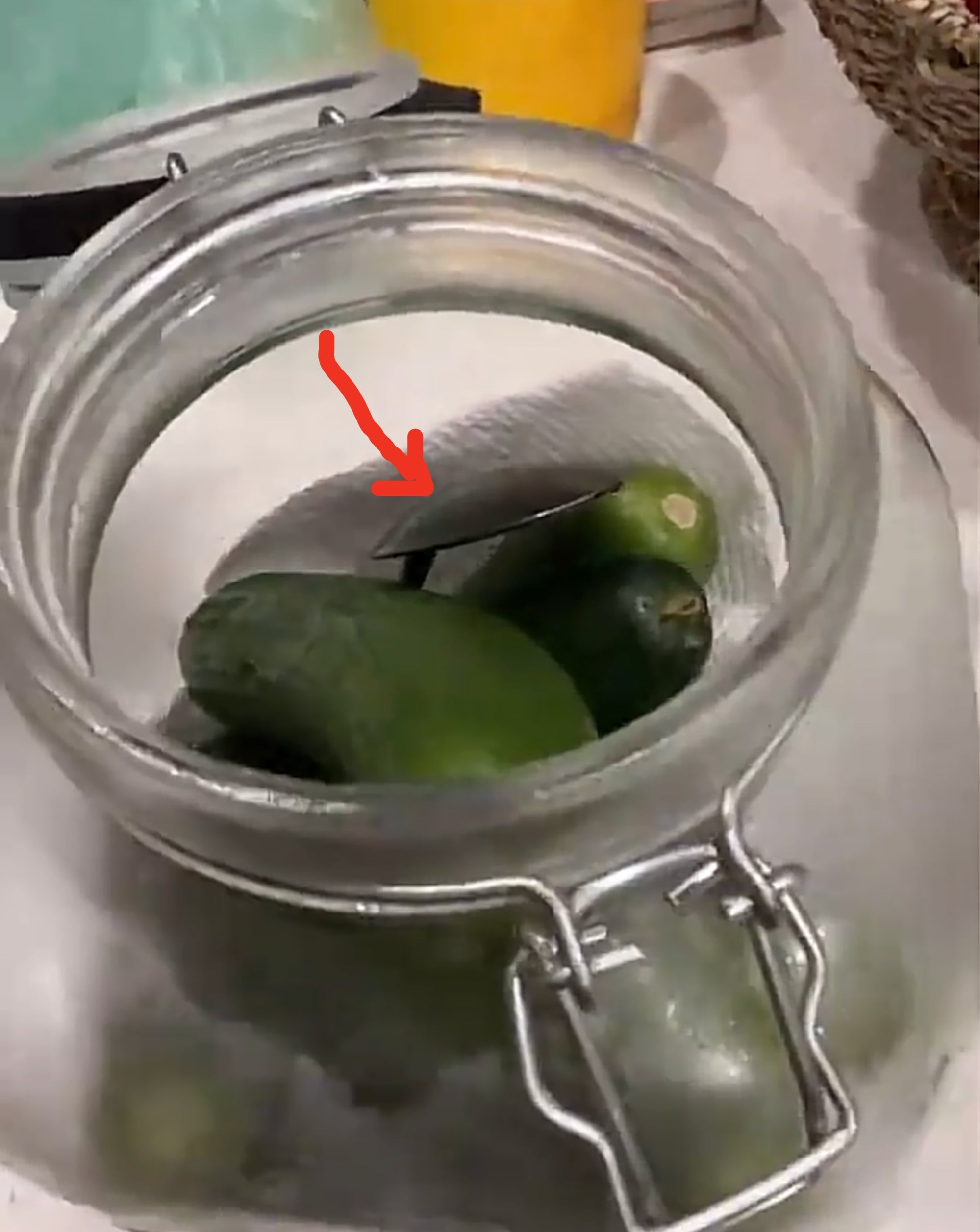 Open jar with several pickles inside placed on a kitchen countertop