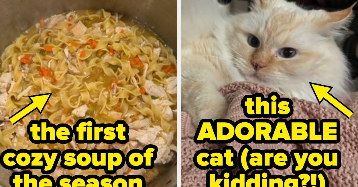 This Week Has Been Hell, So Here Are 20 Wholesome Posts From The Internet To Help Bolster Your Spirits
